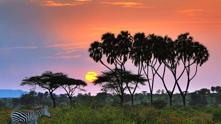 Sunrise in Samburu, Kenya, Africa.