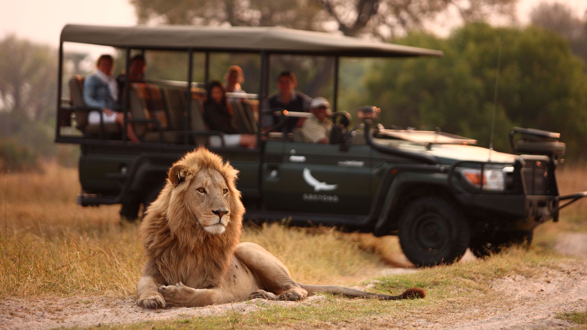 Activity - Game Drive Display Picture