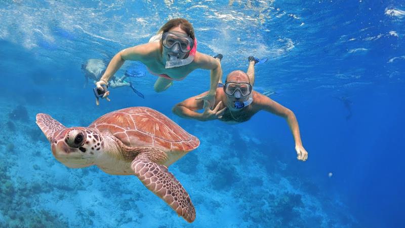 Activity - Snorkling Display Picture