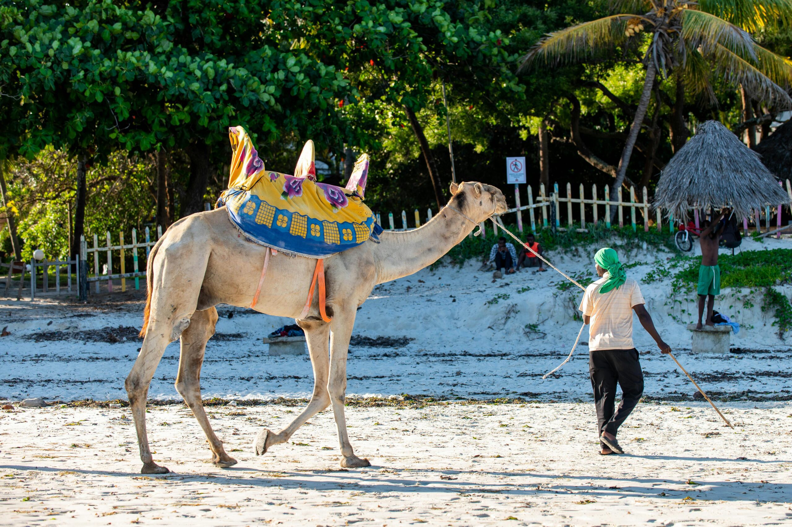 Lamu