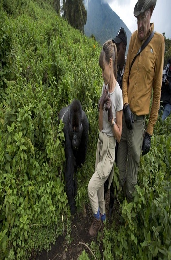 Gorilla Trekking in Volcanoes National Park 1024x649 1