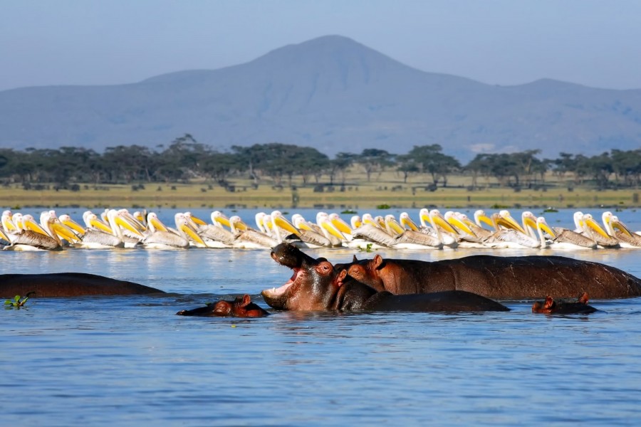 3-days-2-nights-lake-naivasha_20240408120744