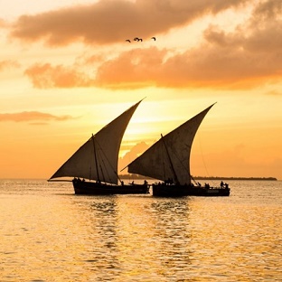 Theme Beachlife dhow cruise 1