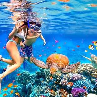 Theme Beachlife snorkeling 1
