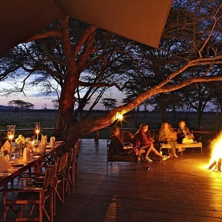 Theme bushlife campfire 1