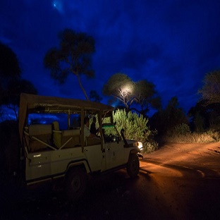 Theme wildlife Night Safari 2