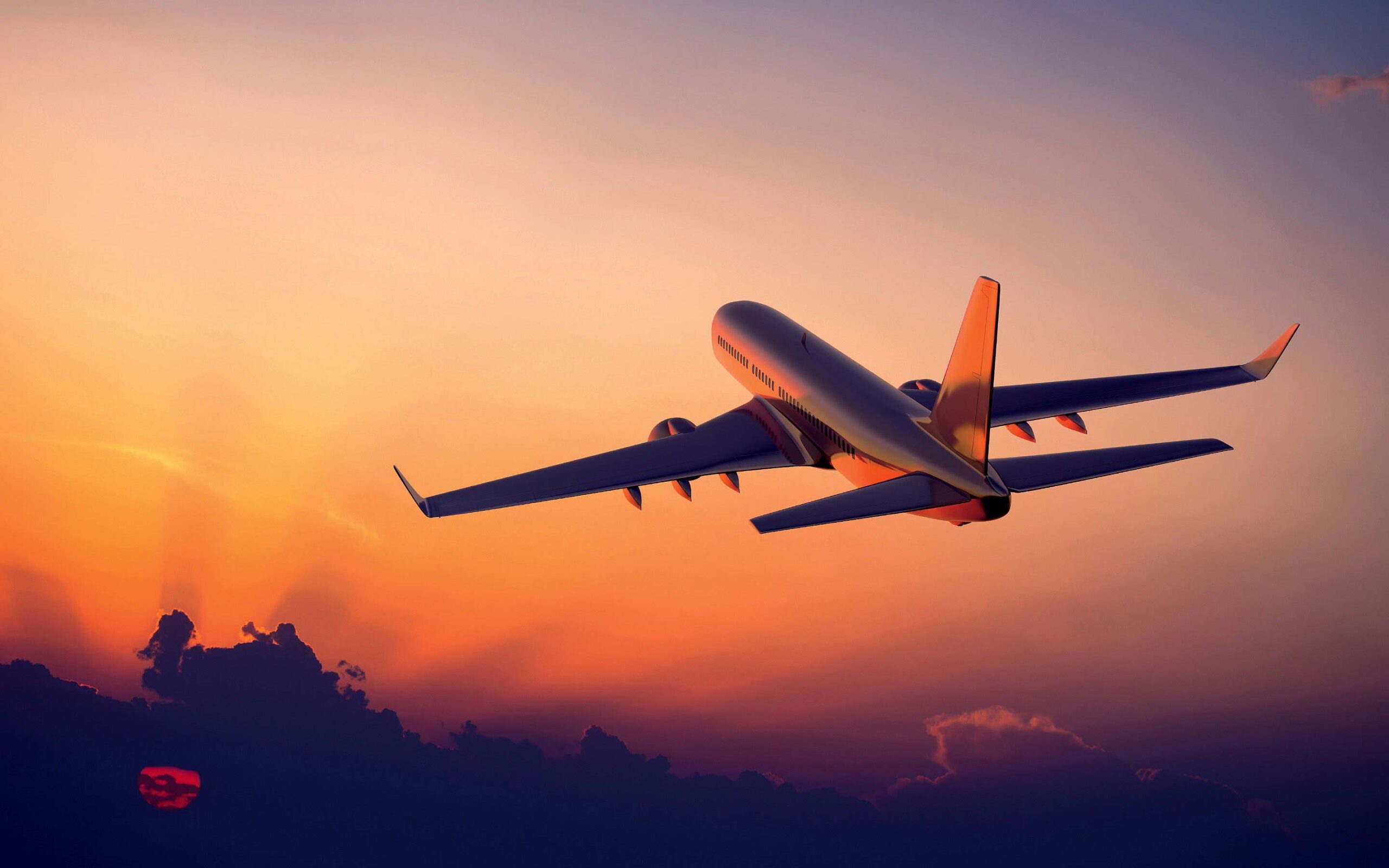 flight-back